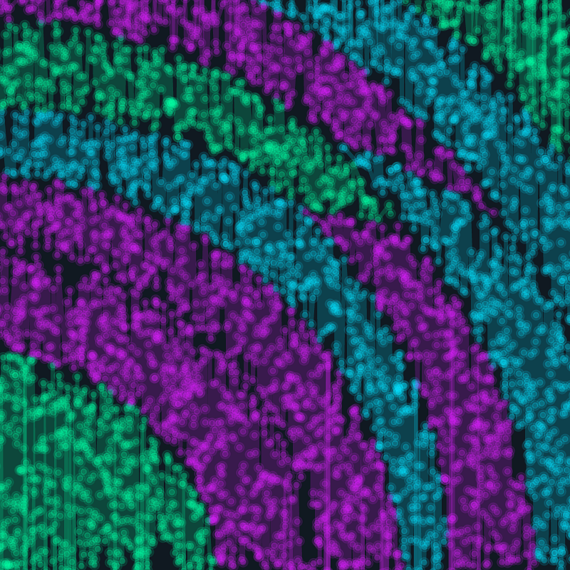 Solana Colors banner